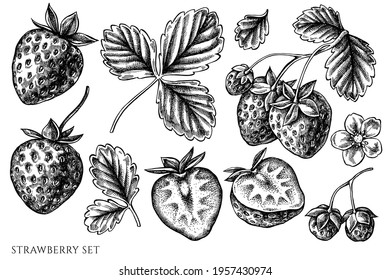 Vector set of hand drawn black and white strawberry