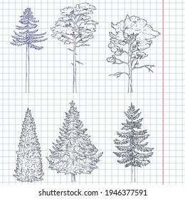 Vector Set of Hand Drawn Blue Sketch Pine Trees