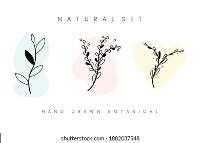 Vector set of hand drawn botanical plants. Three types of black plants. Beautiful herbaceous plants on a white background. - Shutterstock ID 1882037548