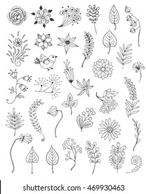 Vector set of hand drawn branches, berries, flowers and leaves, isolated on white background. Design elements for cards, invitations, tags and vignettes.