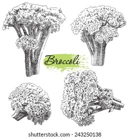 Vector set of hand drawn broccoli