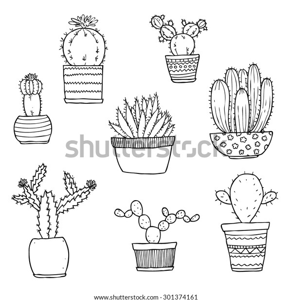 Vector Set Hand Drawn Cactus Stock Vector Royalty Free 301374161 8825