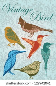 vector set of hand drawn cards with colorful birds