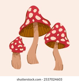 Conjunto de Vector dibujado a mano mosca de dibujos animados setas agáricas. Amanita Muscaria, Ilustración de Mosca Agárica, Colección de Setas. Juego de hongos mágicos, diseño de Plantilla rojo plano aislado lindo cottagecore hongo