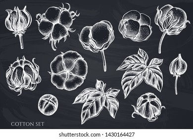 Vector set of hand drawn chalk cotton