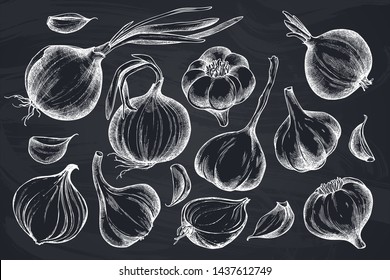 Vector set of hand drawn chalk onion, garlic