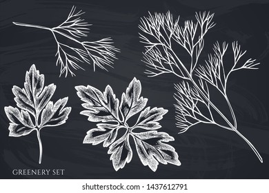 Vector set of hand drawn chalk greenery