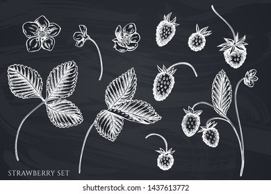 Vector set of hand drawn chalk strawberry