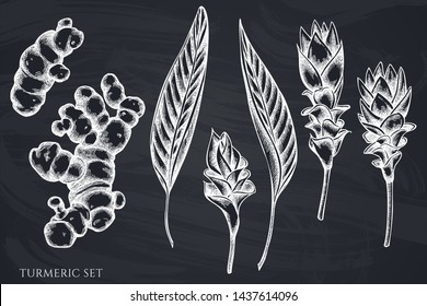 Vector set of hand drawn chalk turmeric
