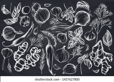 Vector set of hand drawn chalk onion, garlic, pepper, greenery, ginger, basil, rosemary