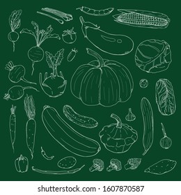 Vector Set of Hand Drawn Chalk Sketch Vegetables