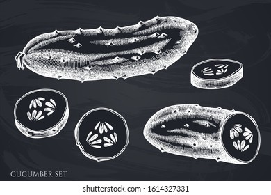 Vector set of hand drawn chalk cucumber