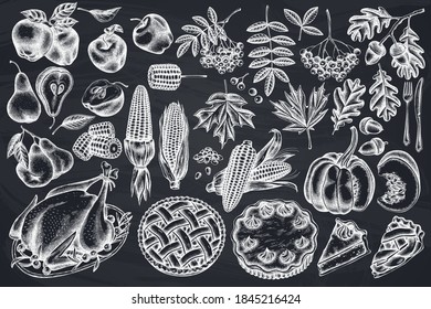 Vector set of hand drawn chalk pumpkin, fork, knife, pears, turkey, pumpkin pie, apple pie, corn, apples, rowan, maple, oak