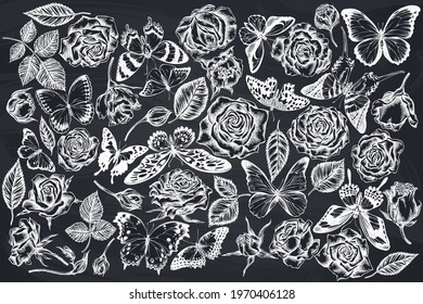 Vector set of hand drawn chalk menelaus blue morpho, giant swordtail, blue morpho, lemon butterfly, red lacewing, african giant swallowtail, alcides agathyrsus, wallace s golden birdwing, purple