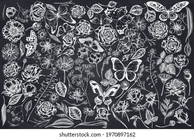 Vector set of hand drawn chalk shepherd's purse, heather, iris japonica, sakura, gypsophila, chamomile, almond, poppy flower, calendula, menelaus blue morpho, blue morpho, lemon butterfly, red