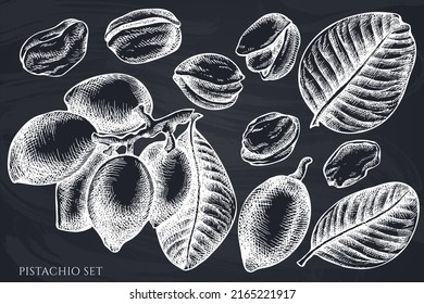 Vector set of hand drawn chalk pistachio