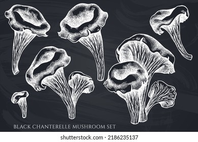 Vector set of hand drawn chalk black chanterelle