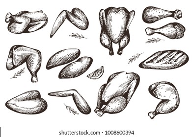 Vector set with hand drawn chichen meat