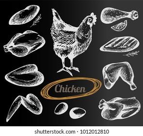 Vector set with hand drawn chicken on the black background