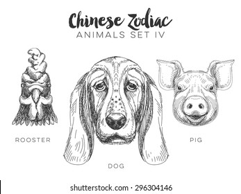 Vector set of hand drawn chinese zodiac animal. Vintage illustration with dog, pig and rooster.