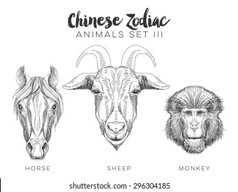 Vector set of hand drawn chinese zodiac animal. Vintage illustration with sheep horse, and monkey.