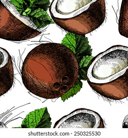 Vector set of hand drawn coconuts. Illustrations. Vector.