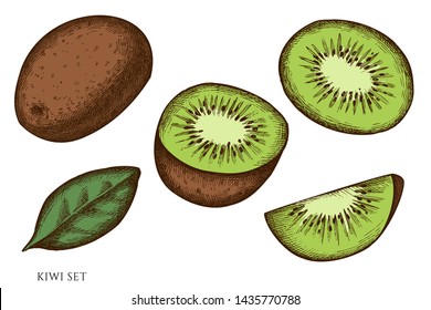 Vector set of hand drawn colored kiwi