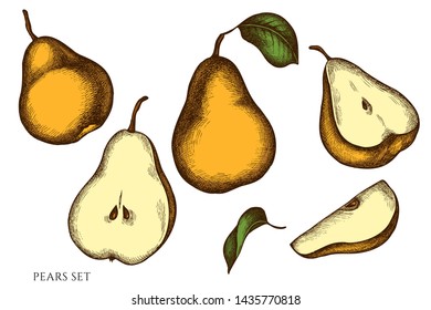 Vector set of hand drawn colored pears