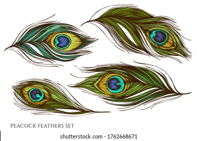 Vector set of hand drawn colored peacock feathers