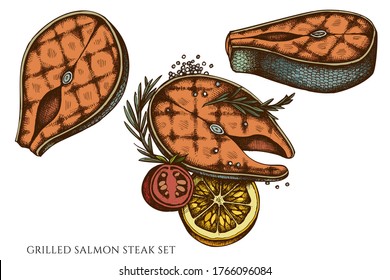 Vector set of hand drawn colored grilled salmon steak