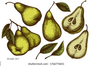 Vector set of hand drawn colored pears