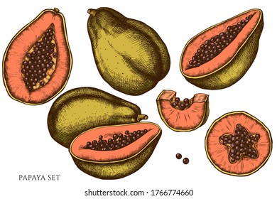 Vector set of hand drawn colored papaya
