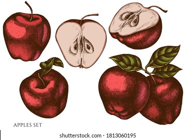 Vector set of hand drawn colored apples