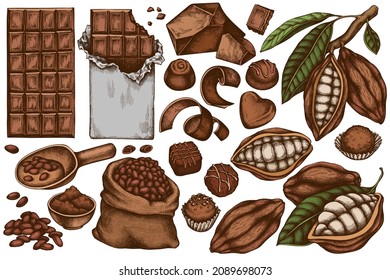 Vector set of hand drawn colored cocoa beans, cocoa, chocolate, chocolate candies