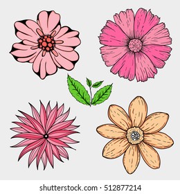 Vector set of hand drawn colorful flowers and leaf branch. illustration isolated on grey