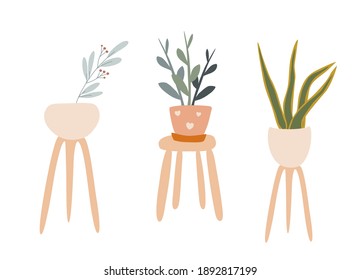 Vector set of hand drawn cute houseplants on coasters, home decoration, flowers in Scandinavian style. Isolated white background.