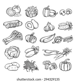 Vector set  hand drawn decorative  vegetables. Vector illustration.