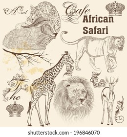 Vector set of hand drawn detailed  African animals with calligraphic elements