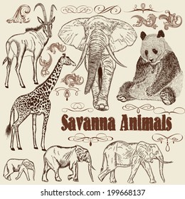 Vector set of hand drawn detailed  African animals with calligraphic elements