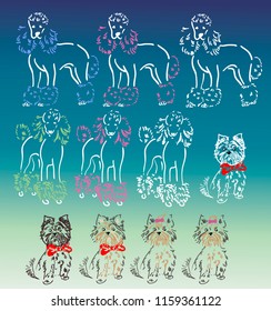 Vector set of hand drawn dogs. Dogs of Poodle breed, Yorkshire Terrier, West Highland White Terrier. Grooming dogs.