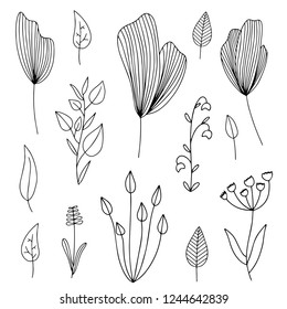 Vector set of hand drawn doodle floral dividers and borders. Hand drawn elements flowers, branches, leaves, wreaths, flourishes.