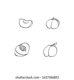 Vector set of hand drawn doodle peach isolated on white. Elements design for postcard, print, pattern, app, web.