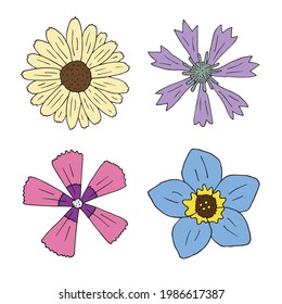 Vector set of hand drawn doodle sketch flowers isolated on white background