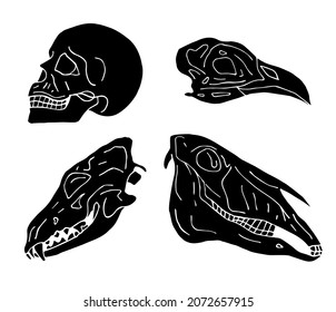 Vector set of hand drawn doodle sketch black animal and human skull isolated on white background