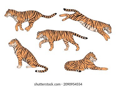 Vector set of hand drawn doodle sketch colored tigers isolated on white background