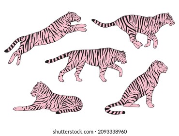 Vector set of hand drawn doodle sketch pink tigers isolated on white background