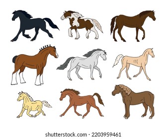 Vector set of hand drawn doodle sketch colored horse breeds isolated on white background
