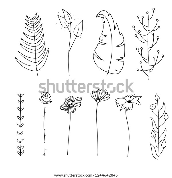 Vector set of hand drawn doodle floral\
dividers and borders. Hand drawn elements flowers, branches,\
leaves, wreaths,\
flourishes.