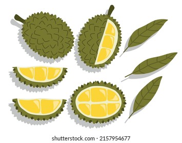 vector set of hand drawn durian vector illustration