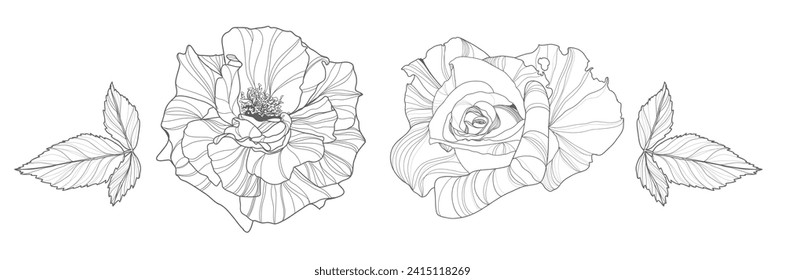 Vector set of hand drawn, engraving line flowers, leaves. Art floral elements. Use for t-shirt prints, logos, cosmetics and beauty design elements